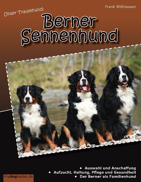 Berner Sennenhund